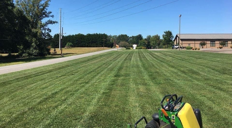 Weekly Mowing